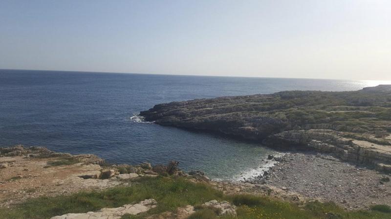 B&B Casa Fiore Polignano a Mare Ngoại thất bức ảnh